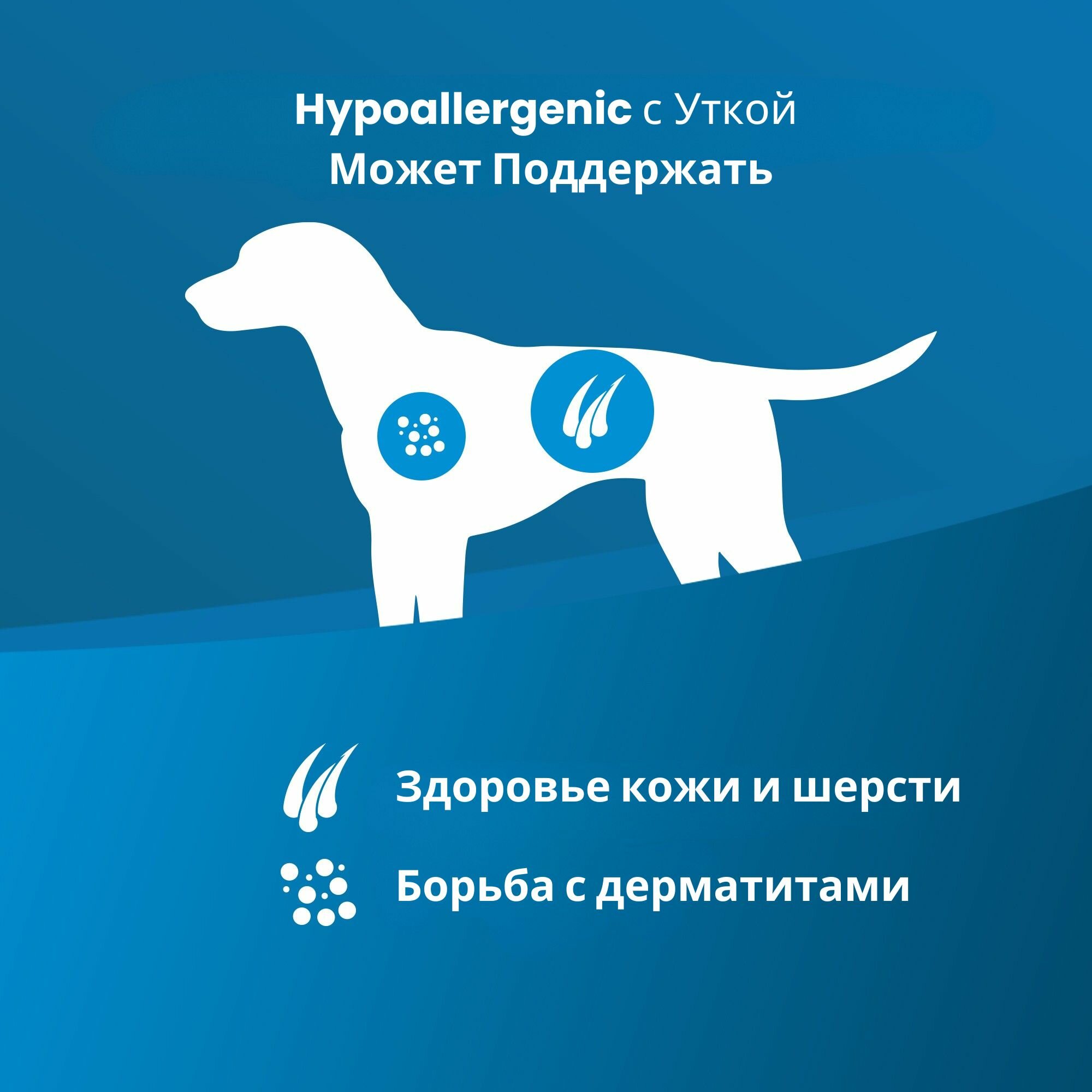 VET LIFE DOG LINE Вет Лайф для собак Гипоаллердженик утка и картофель 300 г - 6 шт — фото 1