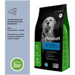 Holistoff (Холистоф) cухой корм для взрослых собак и щенков средних и крупных пород с белой рыбой и овощами 2 кг холистик - изображение
