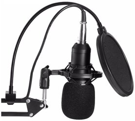 Поп-фильтр универсальный для микрофона / Pop filter / Аксессуар для микрофона