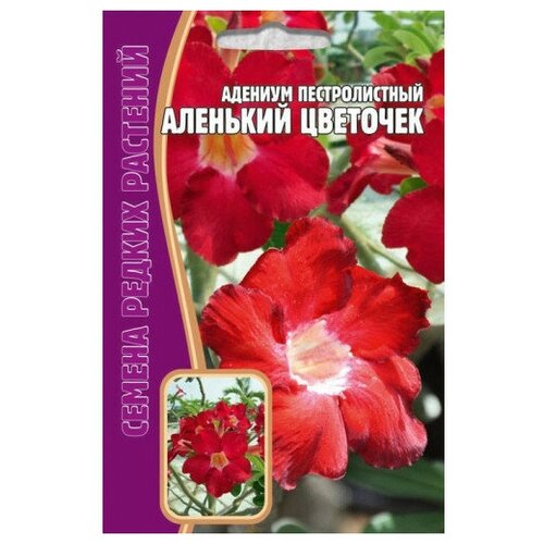 Семена Адениума пестролистного аленький цветочек (3 сем.) семена адениума пестролистного аленький цветочек 3 сем