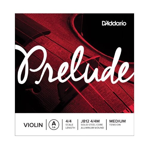 Набор струн D'Addario J812 4/4M, 1 уп. 4pcs set violin strings solid steel core replacement wire size 3 4