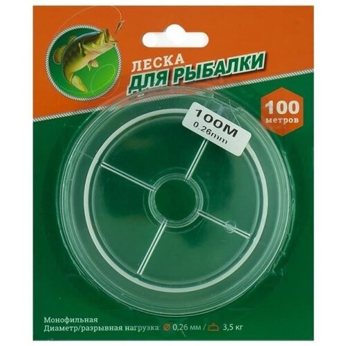 фото Леска, 100 метров румаркет