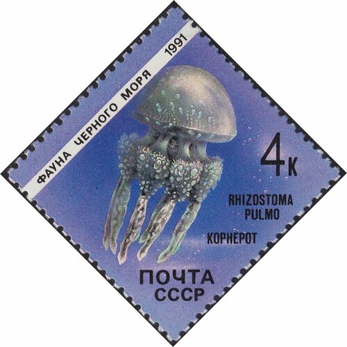 (1991-001) Марка СССР Медуза корнерот Фауна Чёрного моря III Θ 1991 052 марка ссср троица культура русского средневековья iii θ