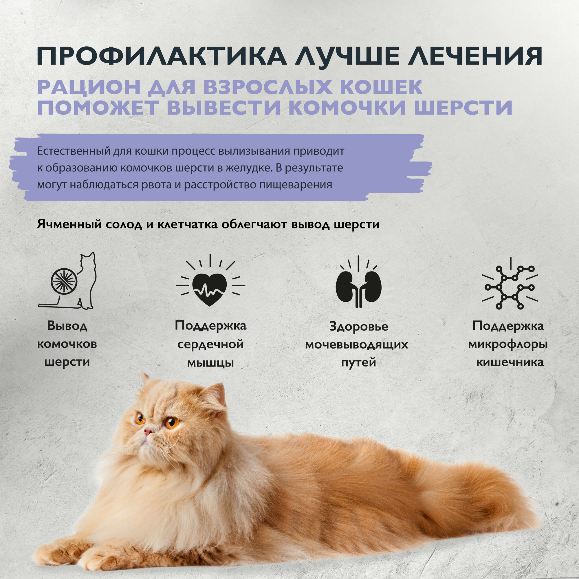 Brit Care Superpremium Cat Anti-Hairball с белой рыбой и индейкой для взрослых кошек, Вывод шерсти 7кг