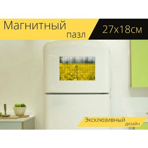 Магнитный пазл Рапс, поле, пейзаж на холодильник 27 x 18 см.