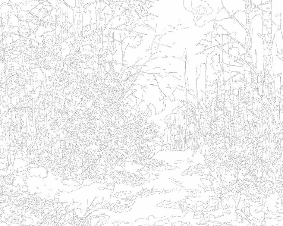Картина по номерам Зима: Пейзаж с заснеженным лесом 40x50