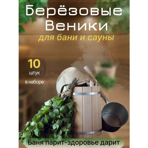 Веник березовый для бани и сауны/березовые веники, 10 шт.