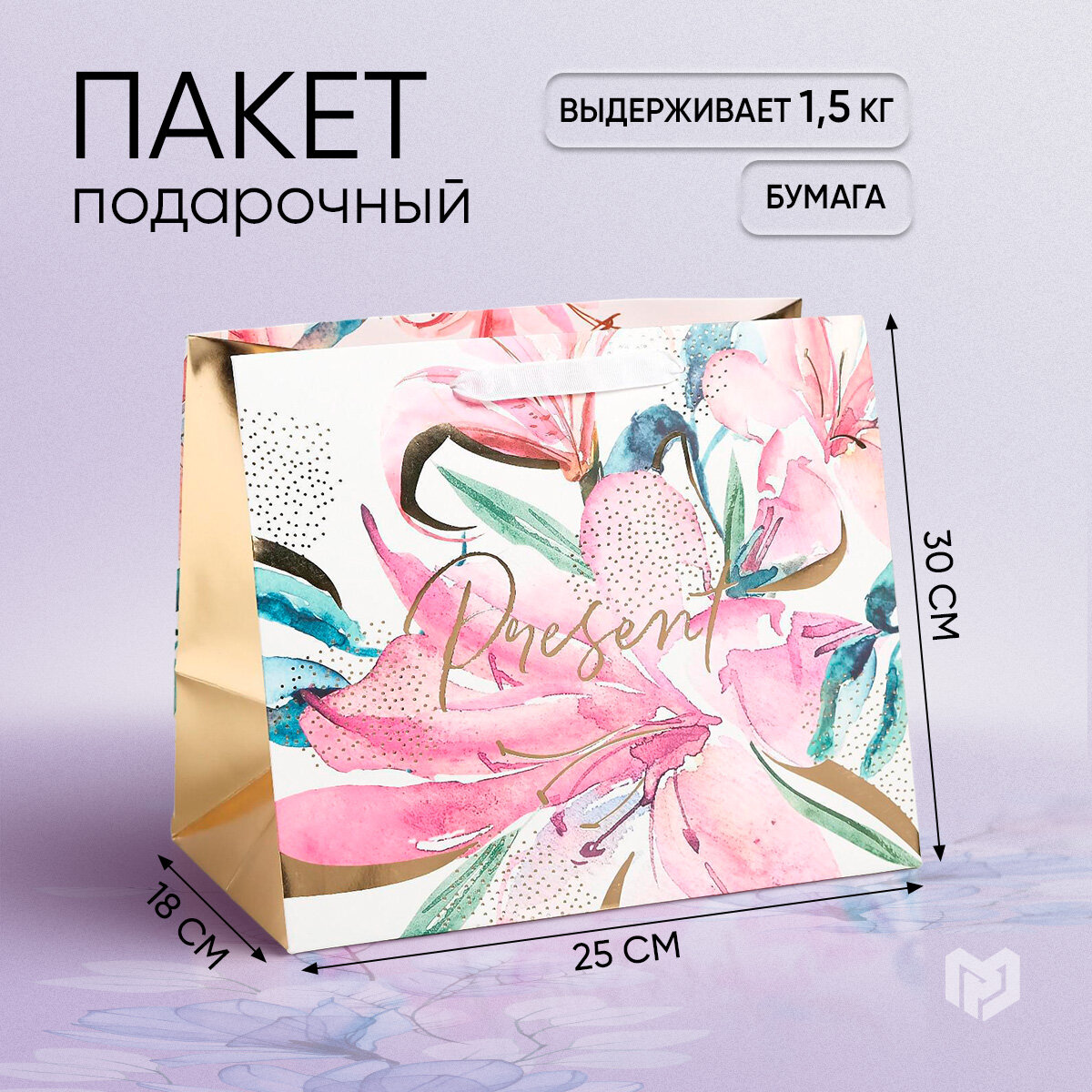 Пакет ламинированный Present, 30,5 × 25,5 × 18 см 4647222