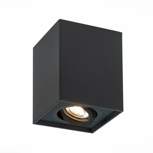 Светильник потолочный ALMA LIGHT AL9001C01BK