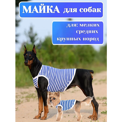 Майка для собак трикотажная, летняя,"Полоска", р. 50, унисекс (длина изделия 44-48 см)