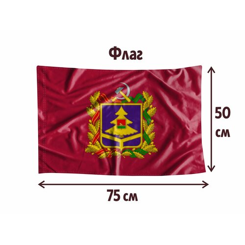 Флаг MIGOM 0038 - Брянская область сувенирный флаг брянская область