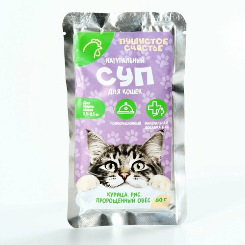 Влажный корм Пушистое счастье Беззерновой суп с курицей и рисом для кошек 80 г 447₽