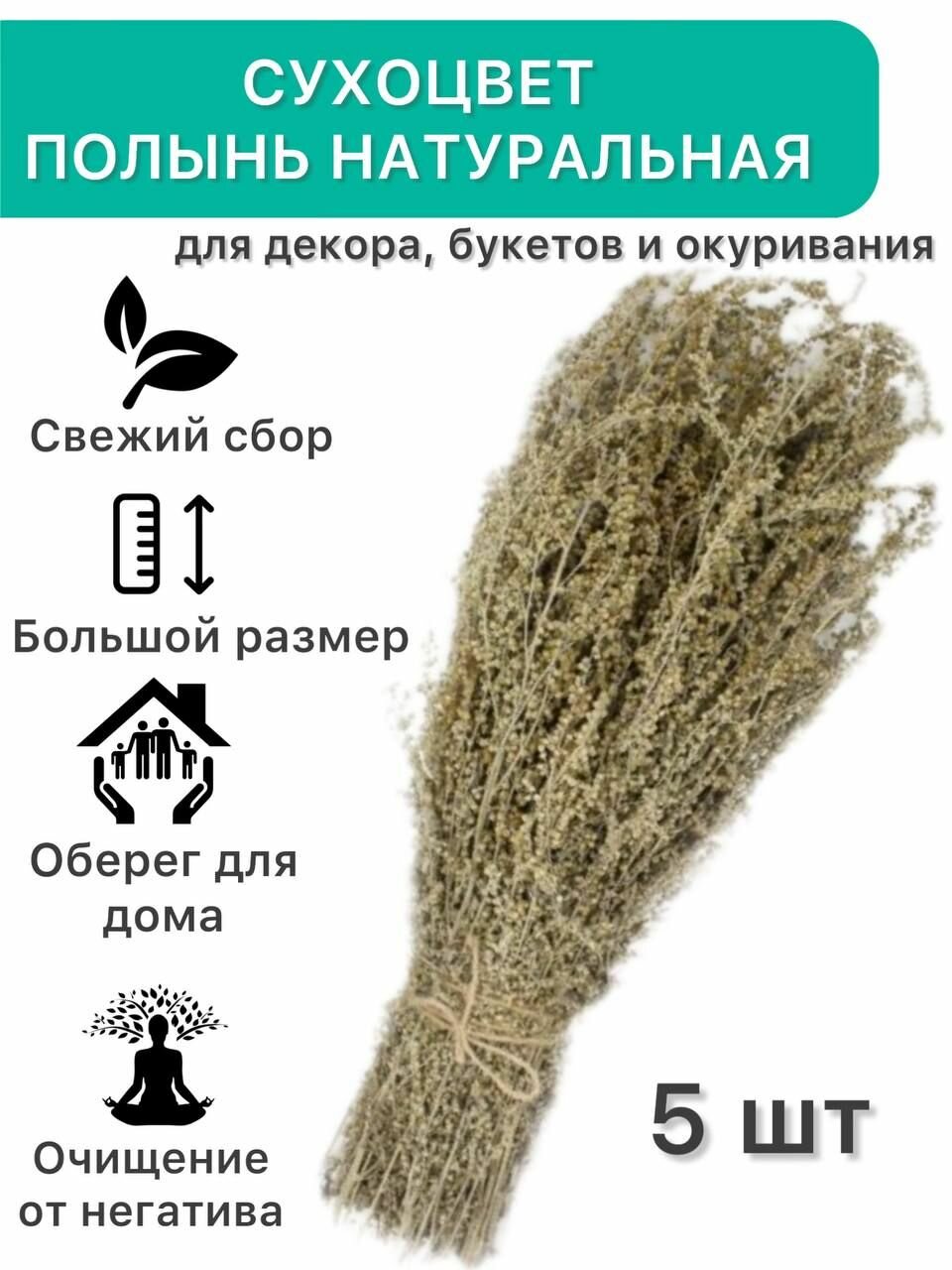 Сухоцвет Полынь натуральная для декора букетов и окуривания 5 шт.
