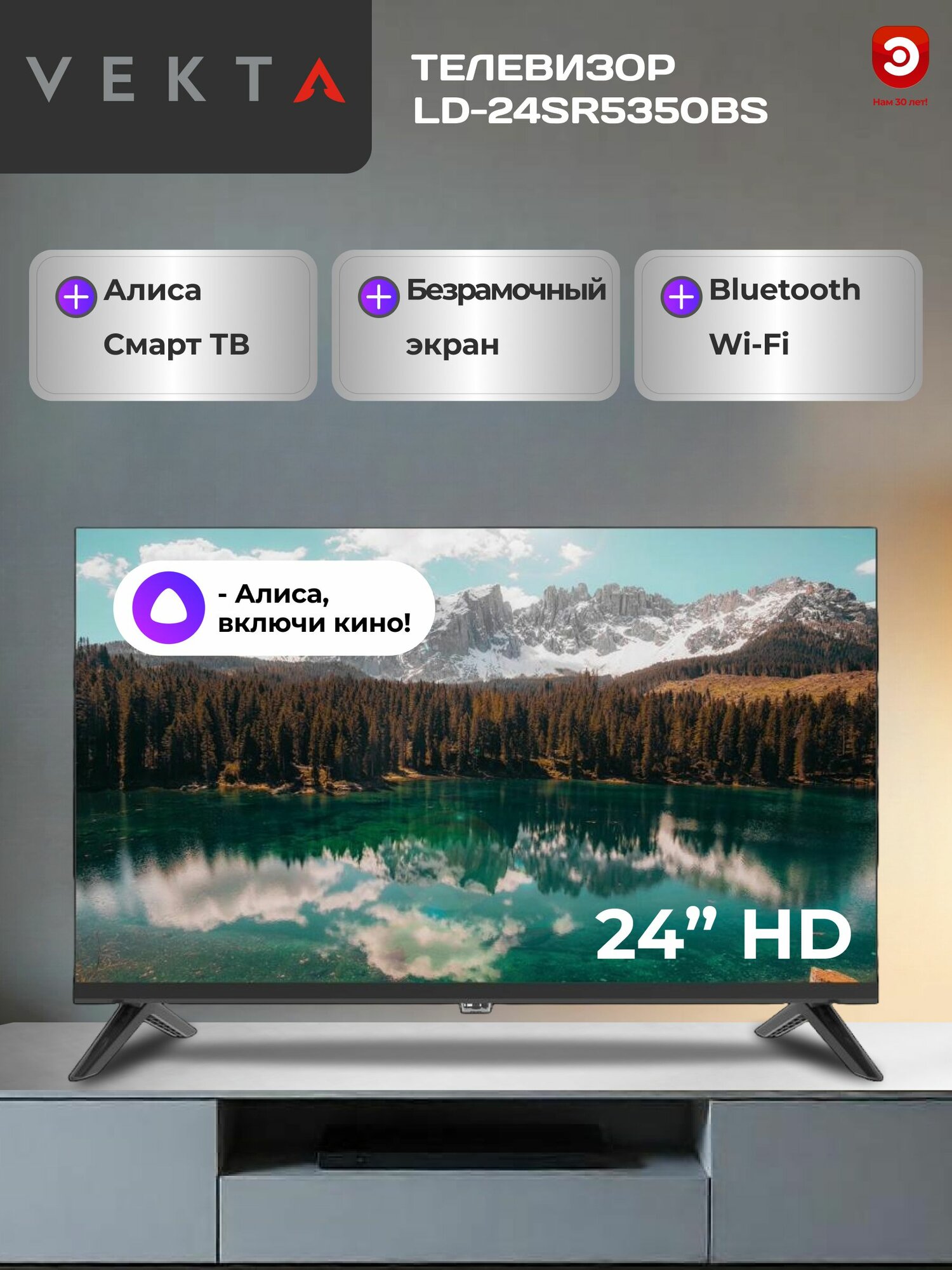 Телевизор LED 24" VEKTA LD-24SR5350BS