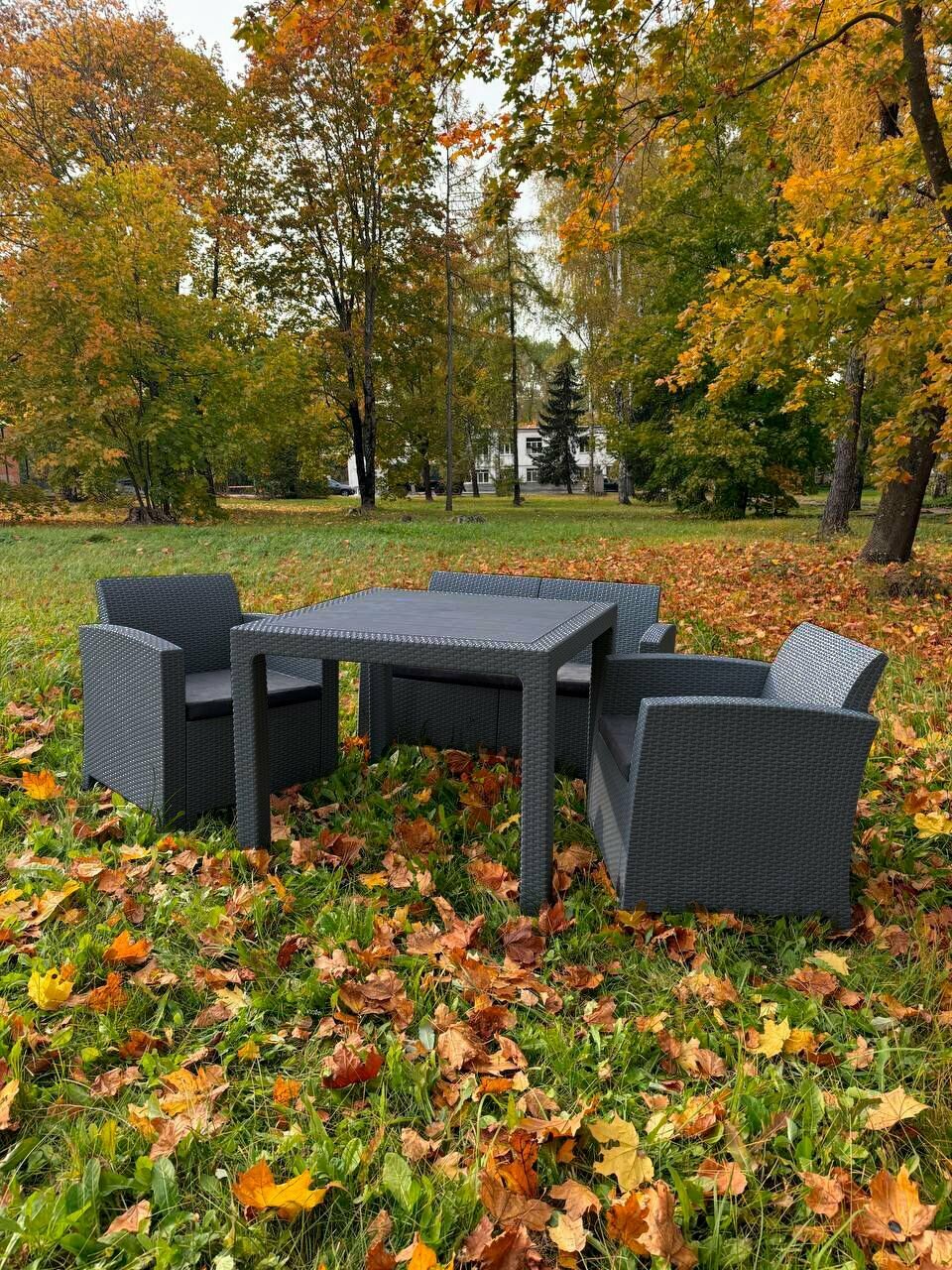 Комплект садовой мебели Royal Family LANA DINING MINI S графит