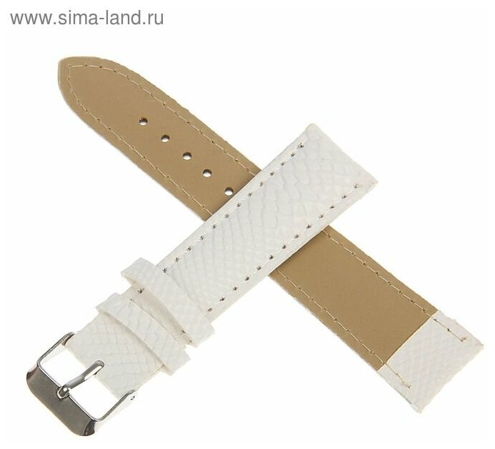 Ремешок Соломон 