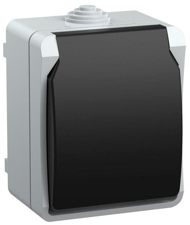 фото Розетка 1-местная ОП Форс 16А IP54 с заземлением с крышкой серый, IEK ERS12-K03-16-54-DC (1 шт.)