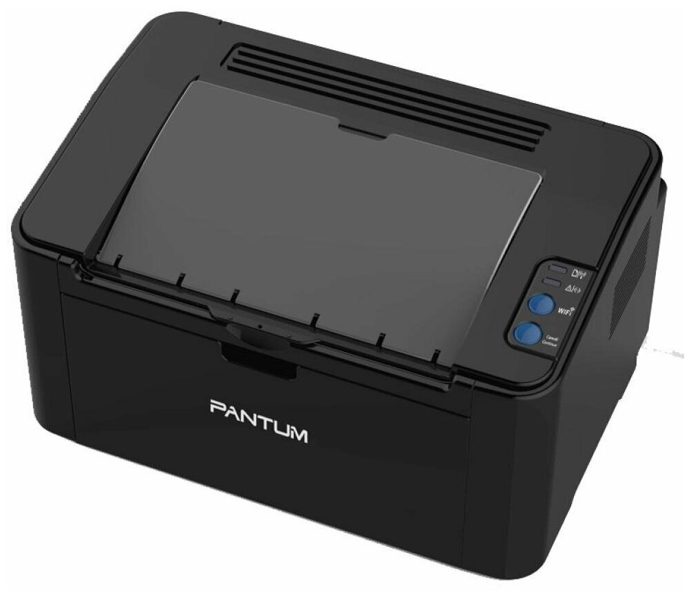 Принтер Pantum P2507 черный