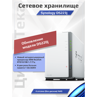 Сетевое хранилище Synology NAS DS223J на 2 диска Персональное облако без абонентской платы Новинка 2023