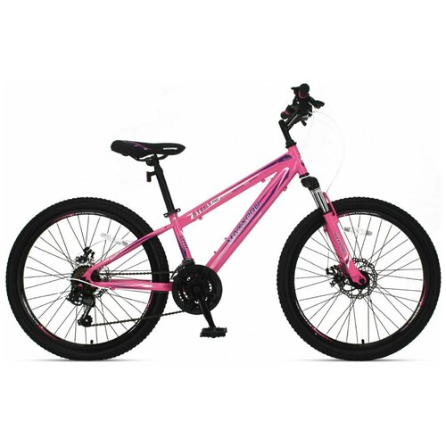 MAXXPRO Steely 24 Pro 2022 1539000₽