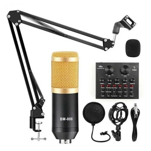 Микрофон Игровой Профессиональный BM-800 A3436 с микшером и аксессуарами 322200₽