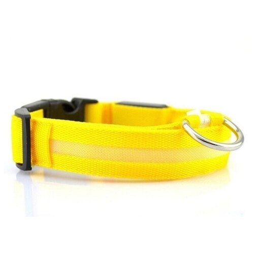 Светящийся ошейник для собак нейлоновый с USB проводом Pet Paradise, товары для животных, обхват шеи 34-39 см размер s желтый