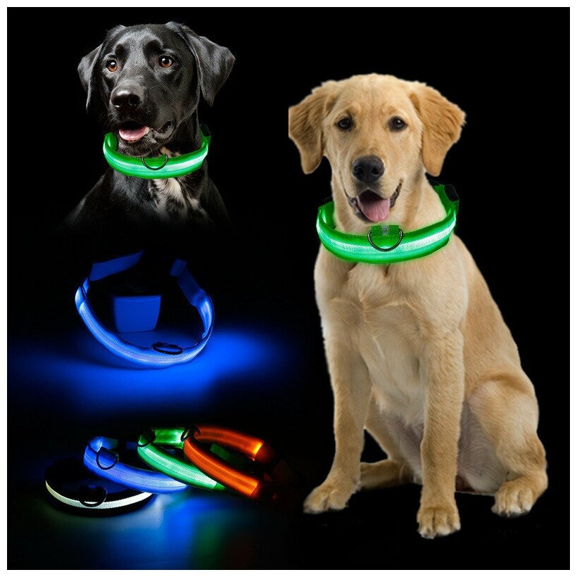 Светящийся ошейник для собак нейлоновый с USB проводом Pet Paradise, товары для животных, обхват шеи 36-48 см размер l черный - фотография № 3