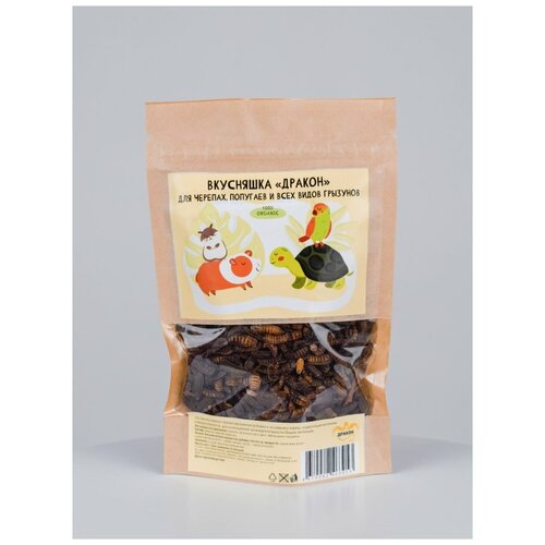 Дракон Вкусняшка 