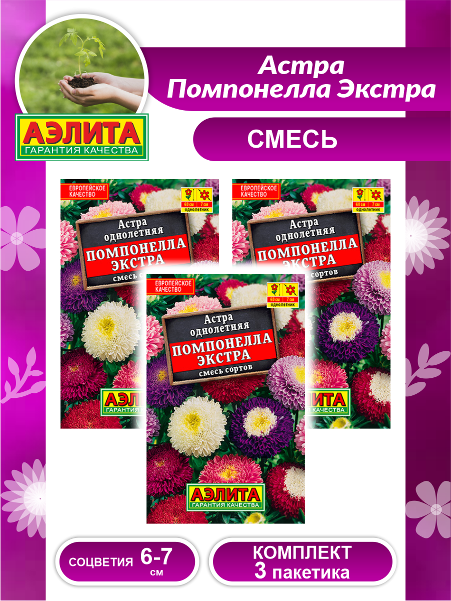 Комплект семян Астра Помпонелла Экстра смесь сортов х 3 шт.