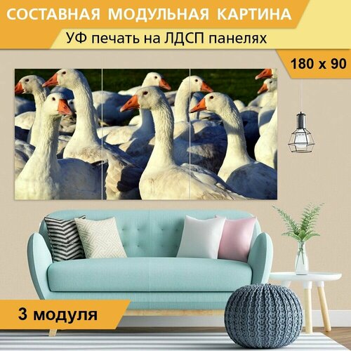 Модульная картина 