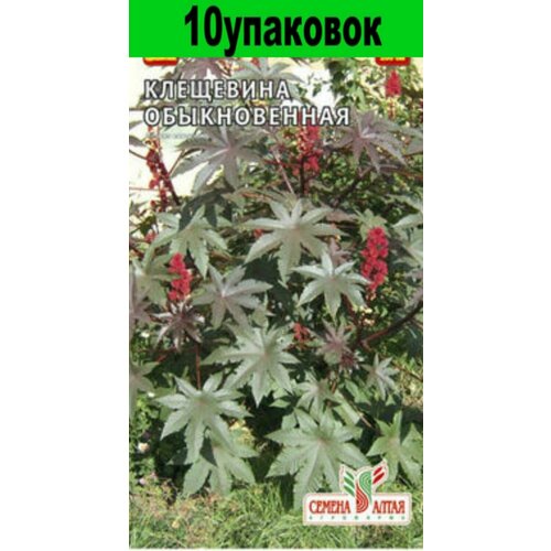 Семена Клещевина Обыкновенная 10уп по 3шт(Сем Алт)