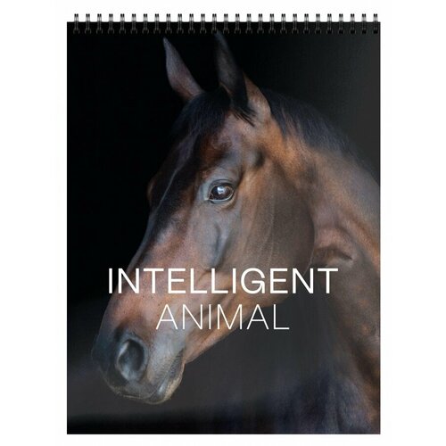 Блокнот 40л А6 schoolформат Великолепные Лошади клетка спираль мелованный картон 185₽