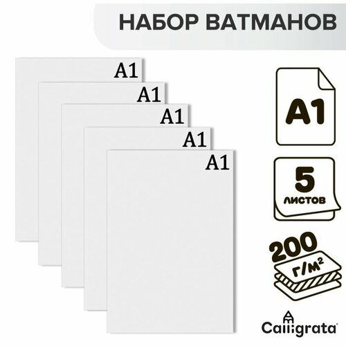 Набор ватманов чертёжных А1, 200 г/м², 5 листов ватман а1 860х610 мм ленгознак 200г м2 000810 208557