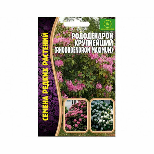 Семена Рододендрона крупнейшего (Rhododendron maximum) (0,01 г) семена рододендрона понтийского