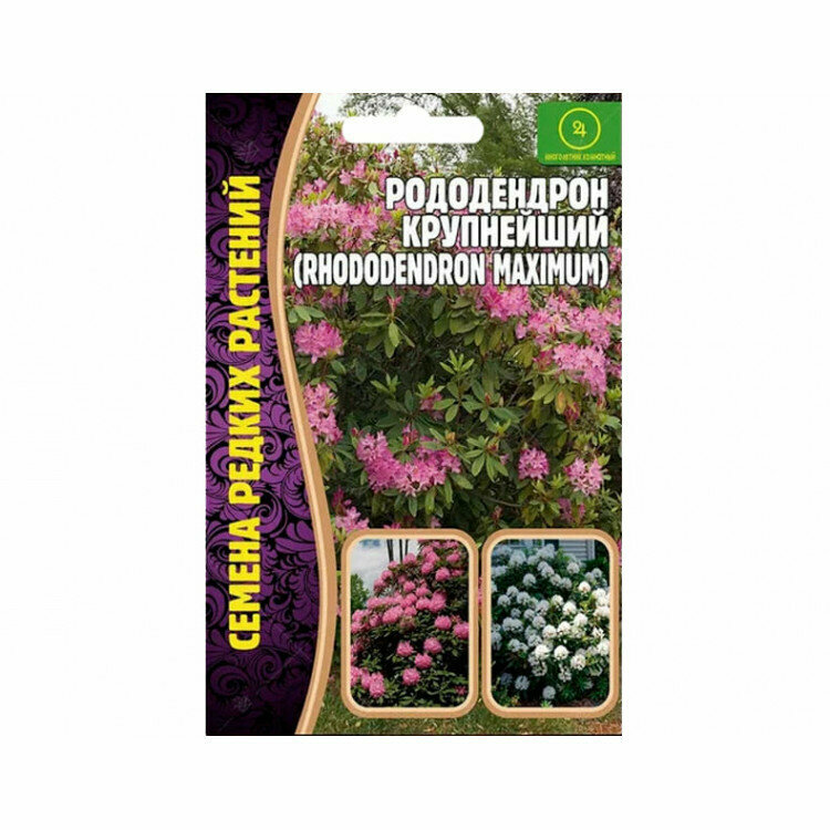 Семена Рододендрона крупнейшего (Rhododendron maximum) (001 г)