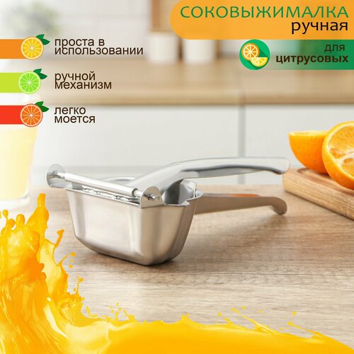 Доляна Соковыжималка для цитрусовых Доляна 225 см 123400₽