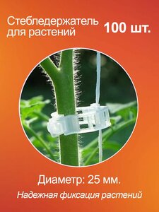 Основная фотография от вендора