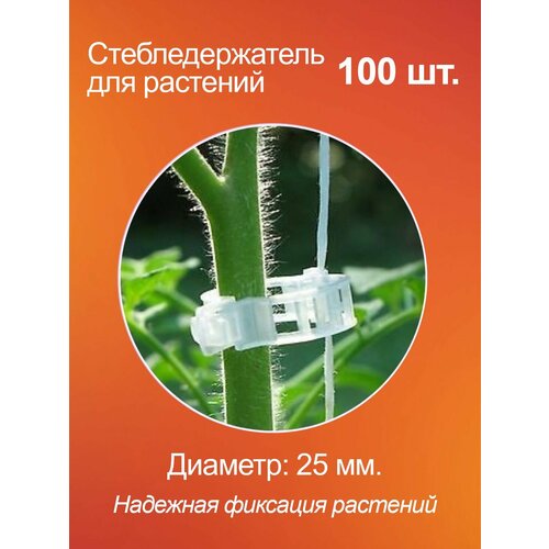 Кистедержатель клипса для томатов помидор и растений, пластик, 100 шт.