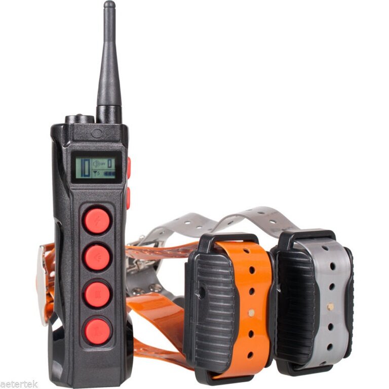 Профессиональный электронный ошейник для дрессировки собак AETERTEK АТ-919С. Комплектация: Для 2-х собак