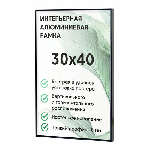 Алюминиевая рамка 30х40, цвет черный, Нельсон БС, рамка для постера, картин, творчества, для интерьера