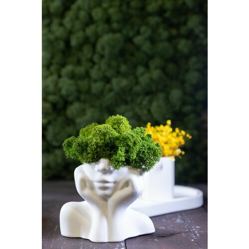 Кашпо девушка с цветами гипсофила желтая и мхом желтый, белый, зеленый, Желтый