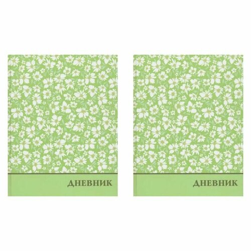 Глобус Дневник школьный 1-11 класс Цветы 40 л 2 шт 474₽