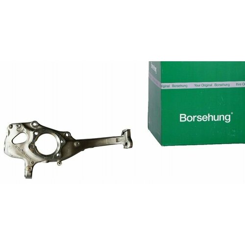 Кулак поворотный Borsehung B12109 22980₽