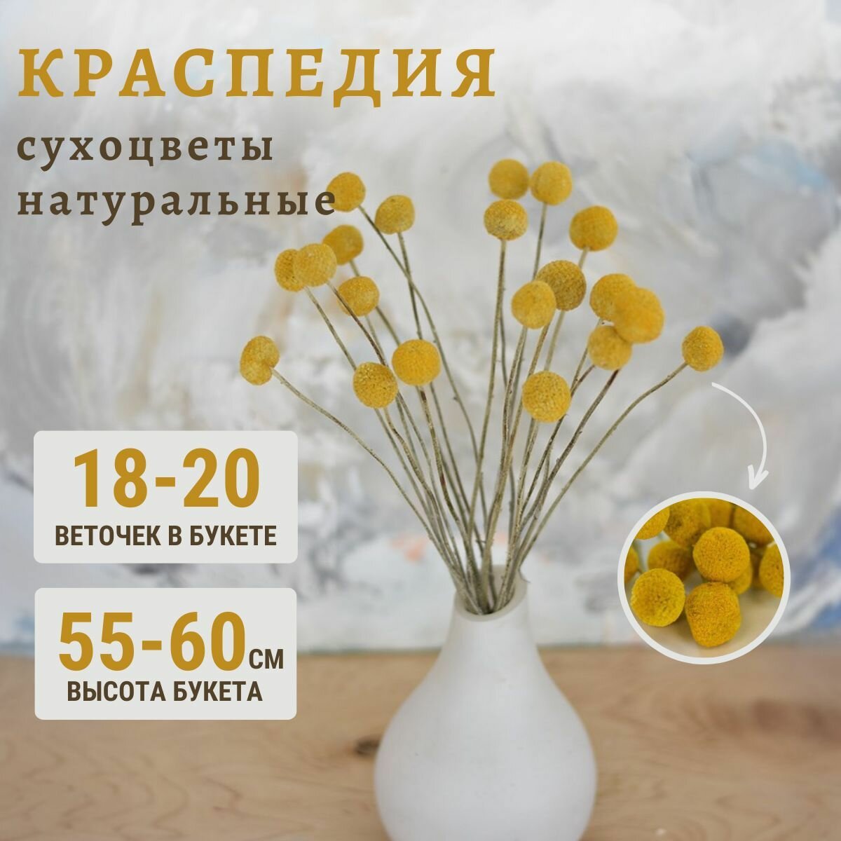 Сухоцветы для декора Trava Decor цветы Краспедия для вазы