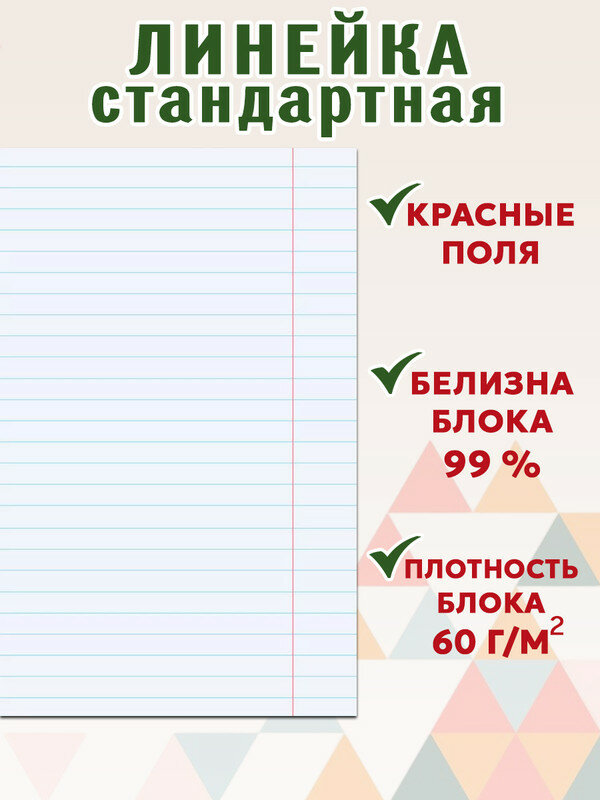 Комплект тетрадей (24 листа), зеленая обложка (20 шт): клетка 10 шт, линейка 10 шт — фото 1