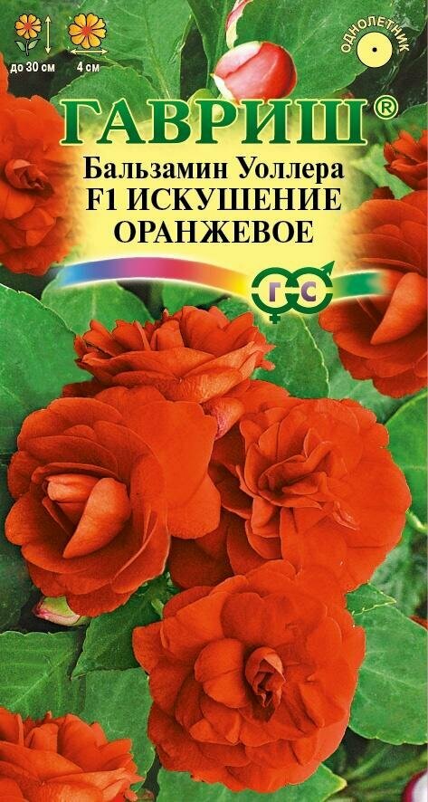 Семена Бальзамин Искушение Оранжевое Уоллера F1 4шт Одн 30см (Гавриш)