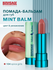 Помада бальзам для губ увлажняющая Mint Balm тон 104 Spice Girls