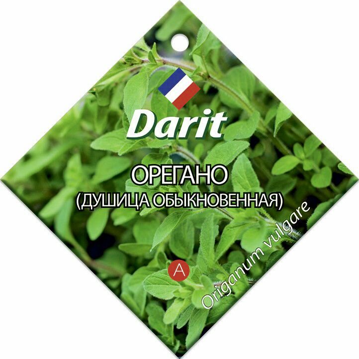 Семена Darit 