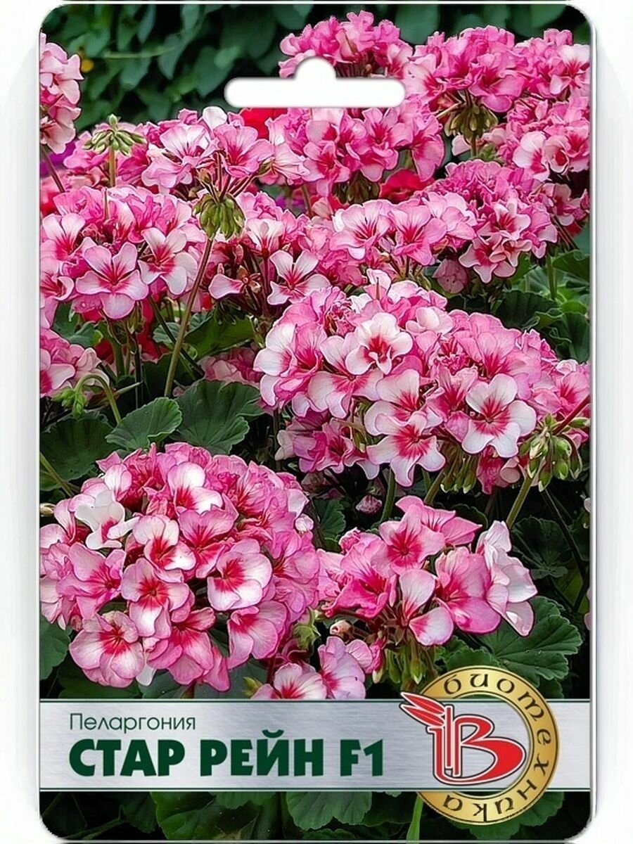 Семена Пеларгония Стар Рейн F1 Биотехника
