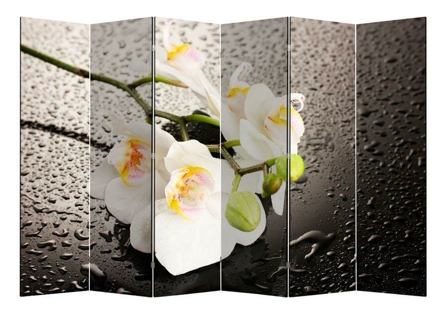 Ширма RB 1111-6 (6 панелей) Белая орхидея и капли
